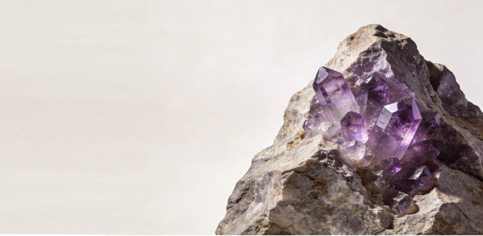 Amethyst-Kristall, der aus einem schroffen Gestein herausragt und eigenständig in violetten Farbtönen leuchtet.