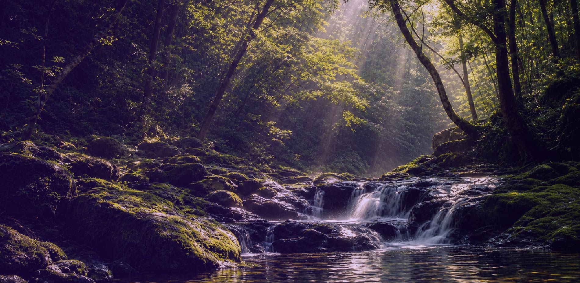 Ein Wildwasserbach fließt durch einen dichten Urwald. Das Bild symbolisiert den individuellen Weg neurodivergenter Führungskräfte durch Komplexität, Veränderung und berufliche Neuorientierung.